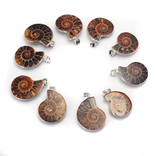 Handmade Silver Wrapped natural Conch Ammonite Pendant