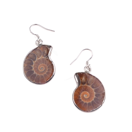 Charm Handmade Natural Conch Ammonite Silver Wrapped Pendant Shell Earrings for Women